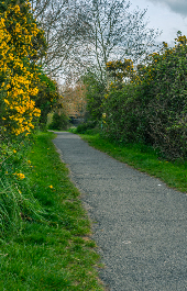 narrow laneway in ireland