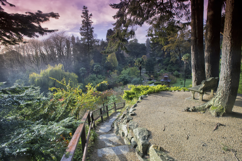 Picture of lush green gardens at sunset in County Wicklow, Ireland