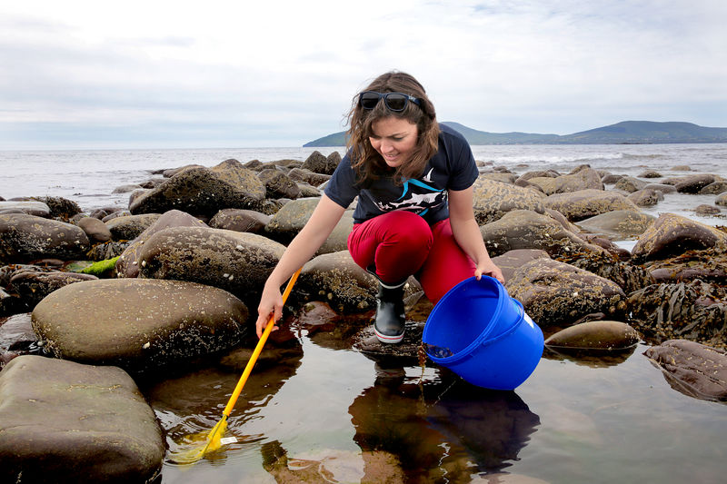Sustainability Environmental Science Internships Learn International