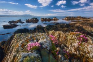 Picture of the rocky coastline in Ireland