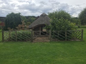 Picture of a Viking homestead at the Dublin Botanical Gardens