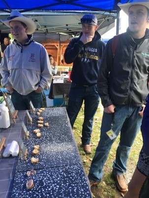 a group of New Zealand study abroad students view items at a farmers market
