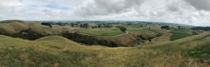 fiels in ireland