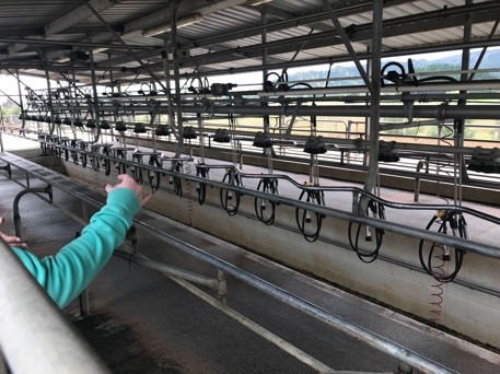 New Zealand student shows the equipment at a dairy farm
