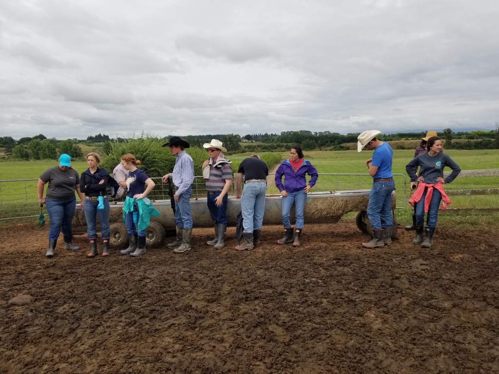 A group of study abroad students sits on a farm in new Zealand