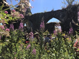 Students pose behind flowers and an ancient Irish ruin