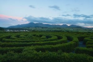 Ireland Archaeology study abroad