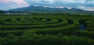 Ireland Archaeology study abroad