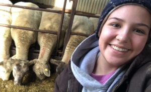 student poses with four sheep grazng on their food