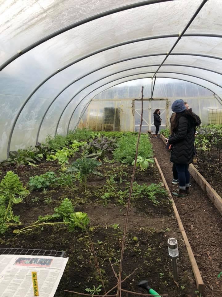 three women in a investigate their new green plants in their greenhouse