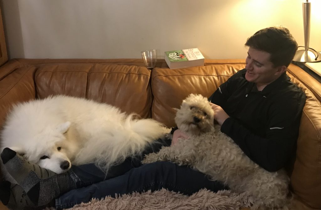 Ireland internship student lounges on a couch with two dogs