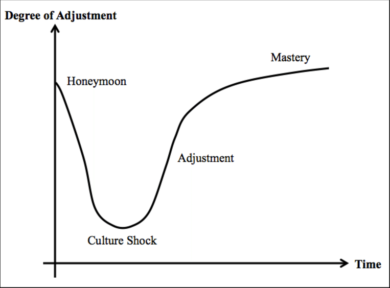 diagram showing cross culture adjument graph