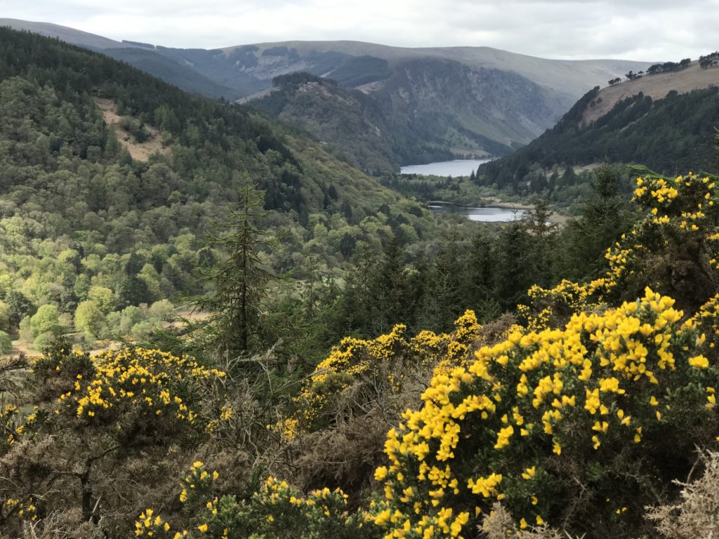 The lakes of glendalough seen at a distance