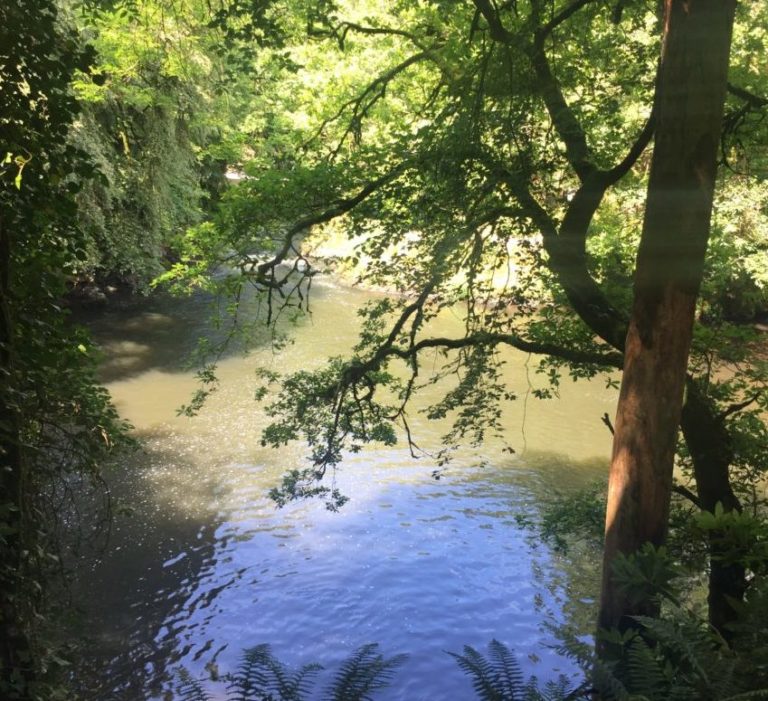 A beautiful river by the ringwork site