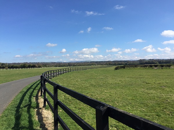 Naas racecourse