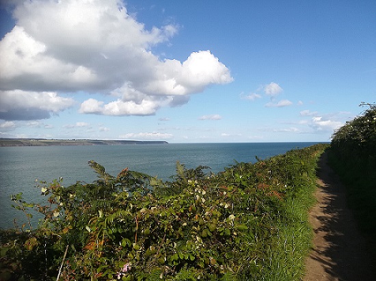 Irish coast