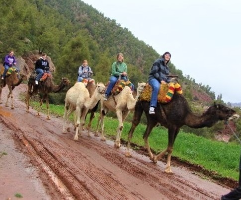 Trekking with camels