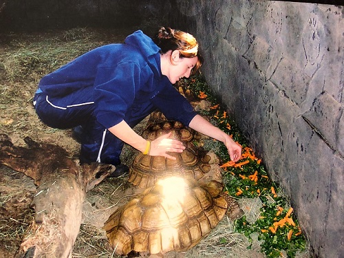 Cara with turtles