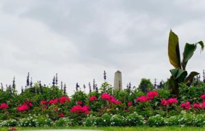Wellington Monument obelisk in Phoenix Park
