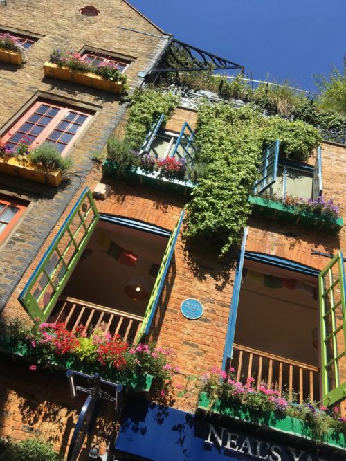 London intern Neals Yard Colorful buildings in Neal's Yard