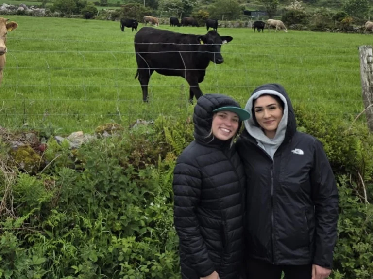 Instagram post from learn.international. This post is in position 3.